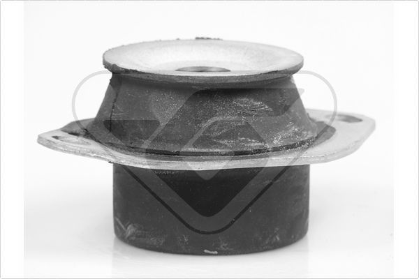 Variklio montavimas HUTCHINSON 539298