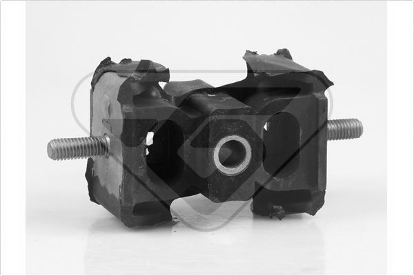 Variklio montavimas HUTCHINSON 539631