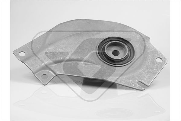 Variklio montavimas HUTCHINSON 539794