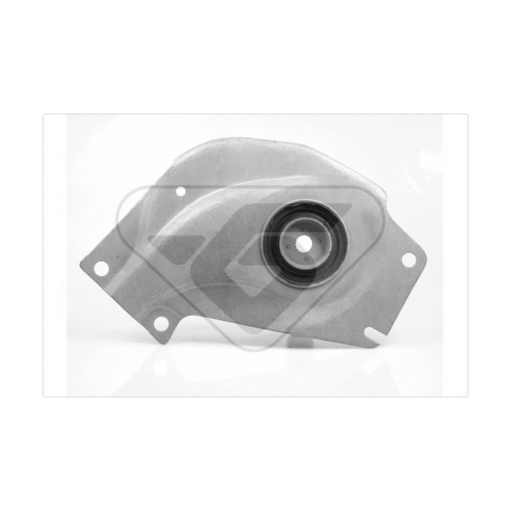 Variklio montavimas HUTCHINSON 539865