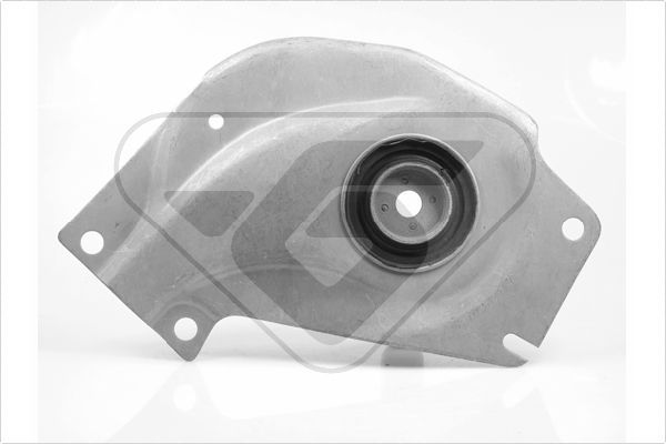 Variklio montavimas HUTCHINSON 539865