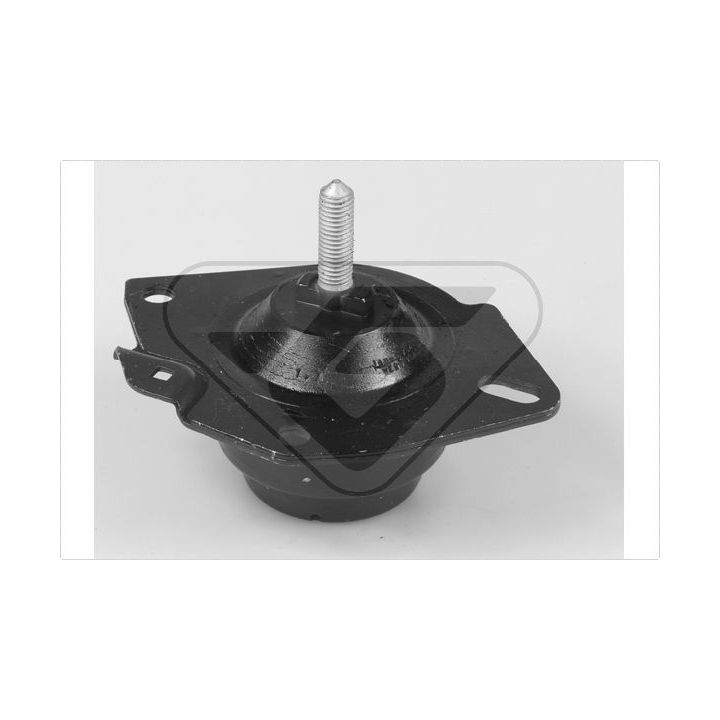 Variklio montavimas HUTCHINSON 585000