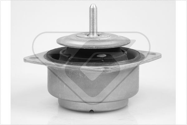 Variklio montavimas HUTCHINSON 585010