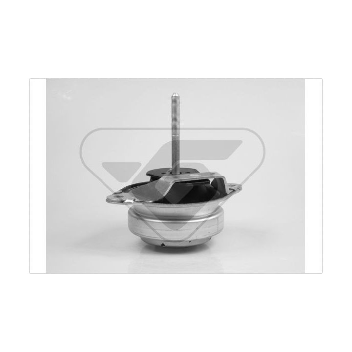 Variklio montavimas HUTCHINSON 585132