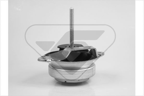 Variklio montavimas HUTCHINSON 585132