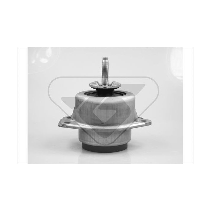 Variklio montavimas HUTCHINSON 586019