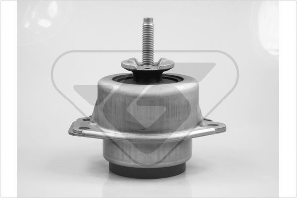 Variklio montavimas HUTCHINSON 586019