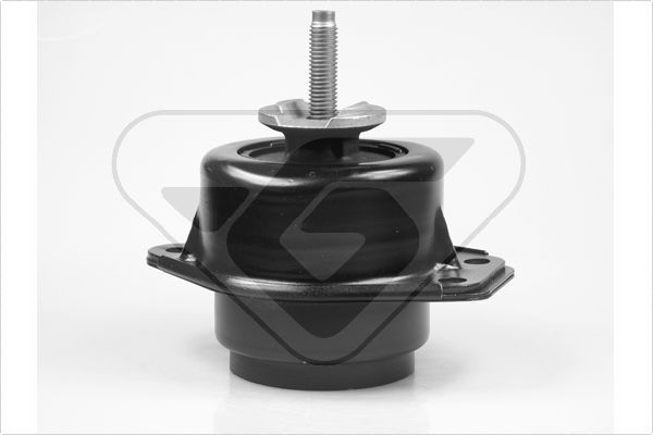 Variklio montavimas HUTCHINSON 586021