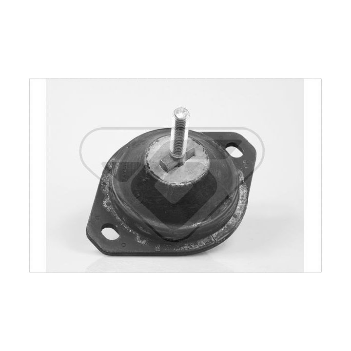 Variklio montavimas HUTCHINSON 586030