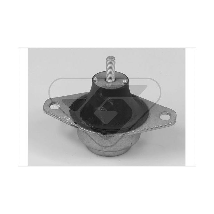 Variklio montavimas HUTCHINSON 586037