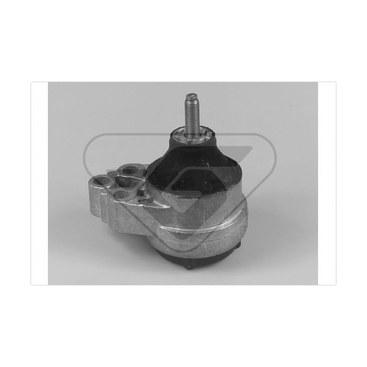 Variklio montavimas HUTCHINSON 586099