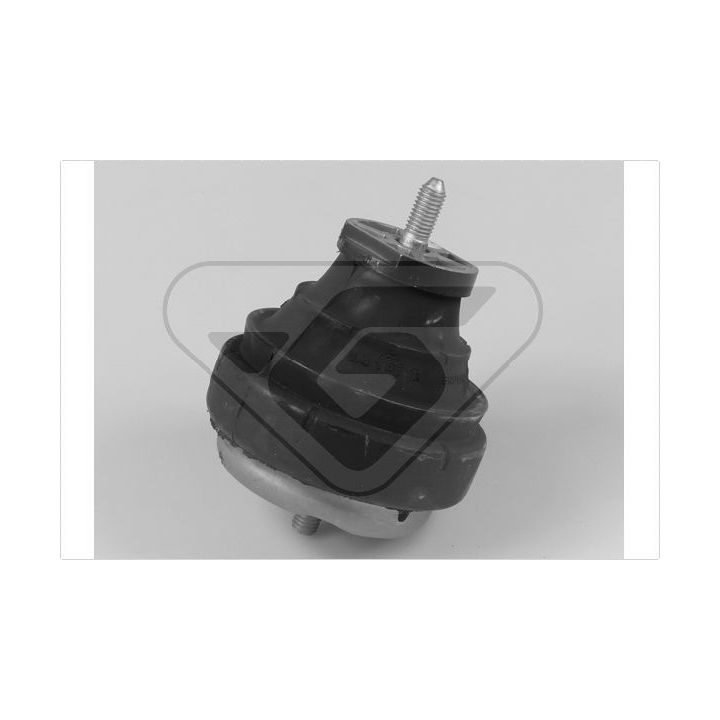 Variklio montavimas HUTCHINSON 586163