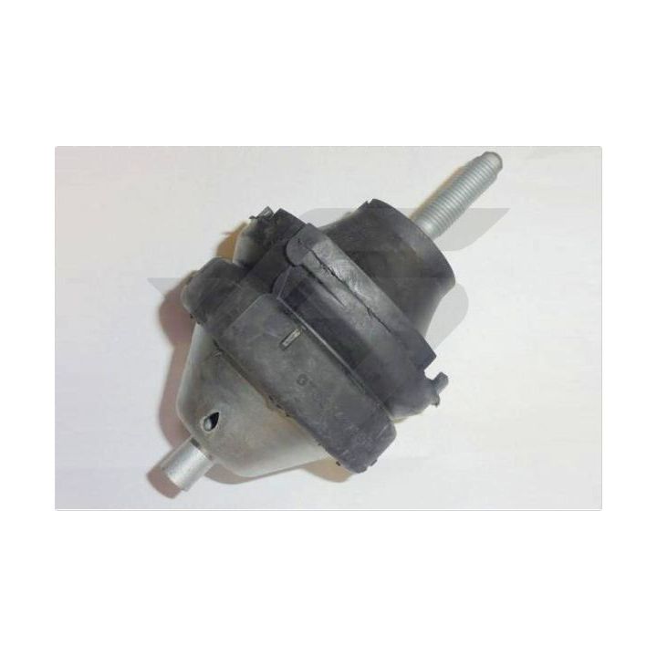 Variklio montavimas HUTCHINSON 586205