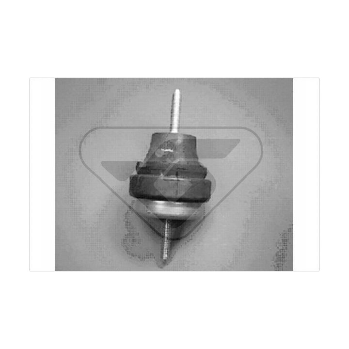 Variklio montavimas HUTCHINSON 586207