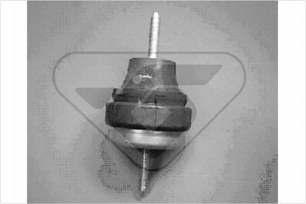 Variklio montavimas HUTCHINSON 586207