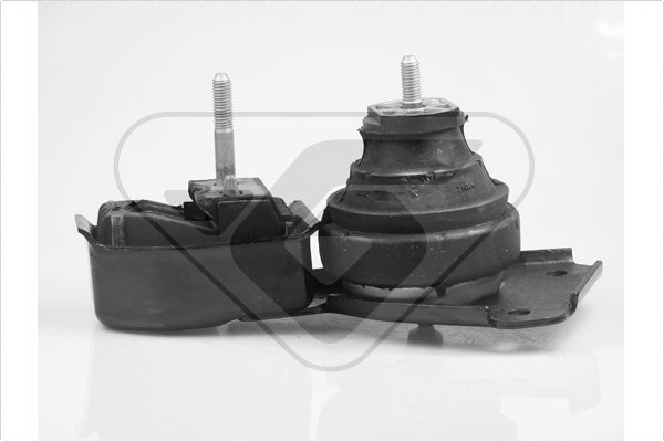 Variklio montavimas HUTCHINSON 586217