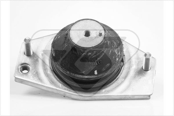 Variklio montavimas HUTCHINSON 586227