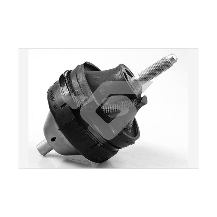 Variklio montavimas HUTCHINSON 586233