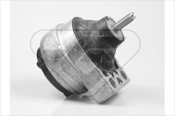 Variklio montavimas HUTCHINSON 586240