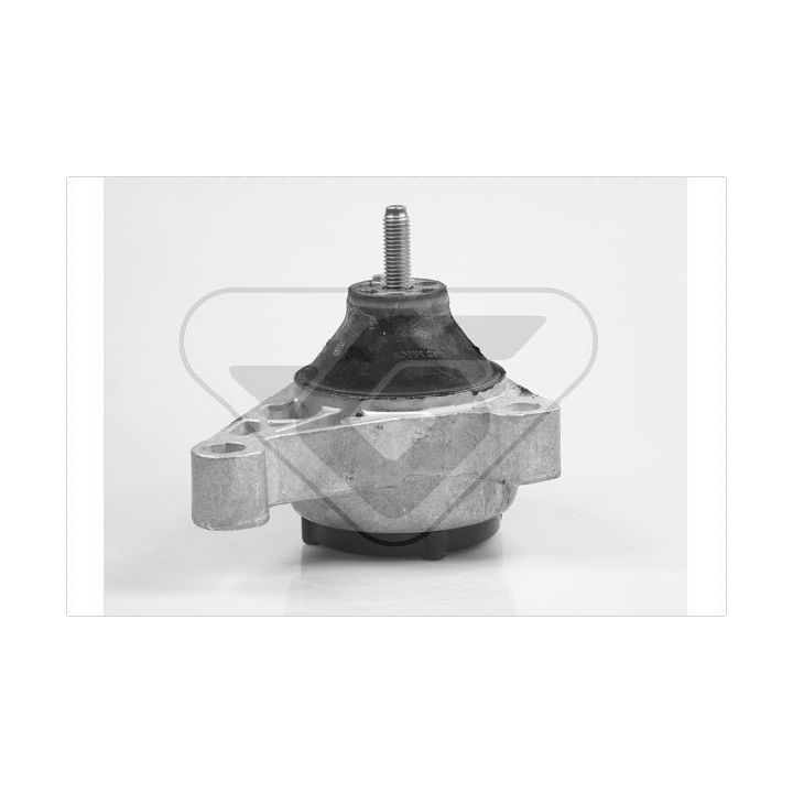 Variklio montavimas HUTCHINSON 586258