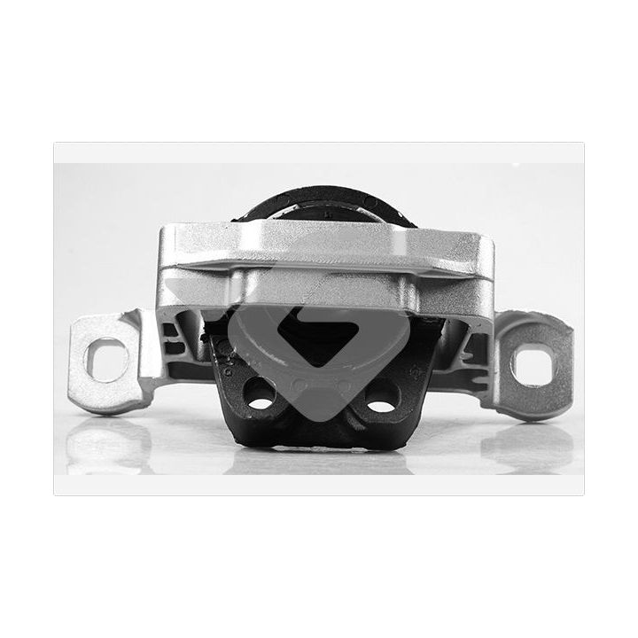 Variklio montavimas HUTCHINSON 586286