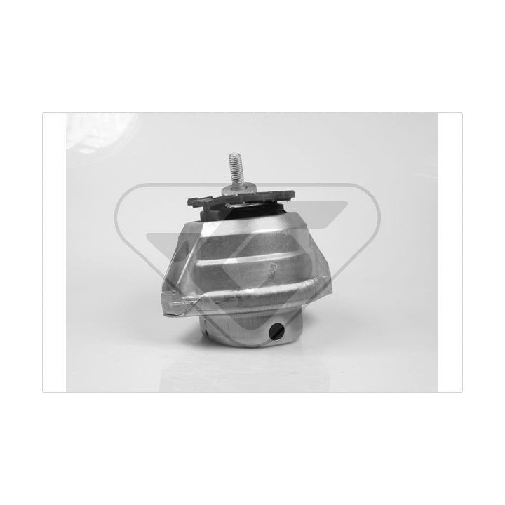 Variklio montavimas HUTCHINSON 586294