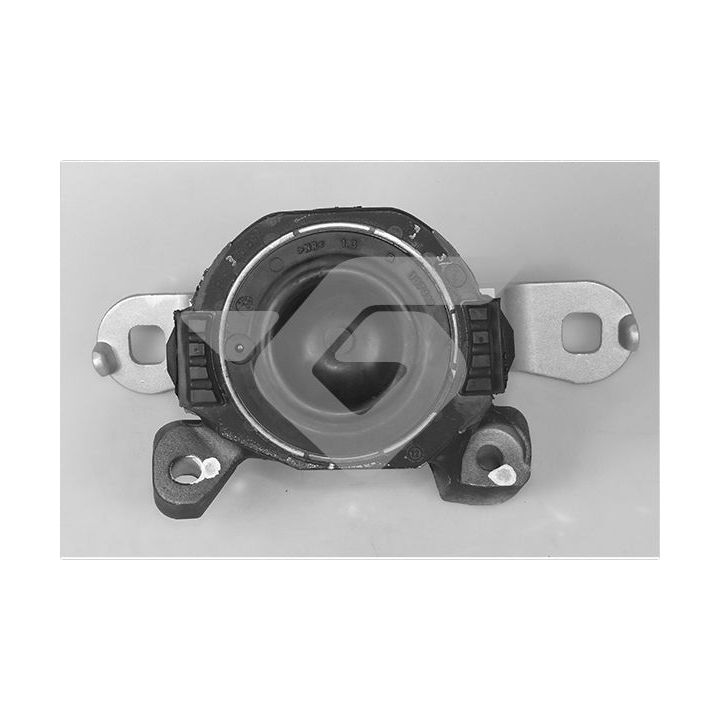 Variklio montavimas HUTCHINSON 586300