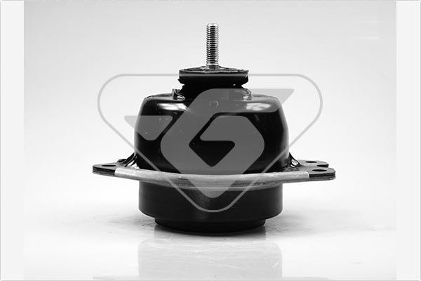 Variklio montavimas HUTCHINSON 586349