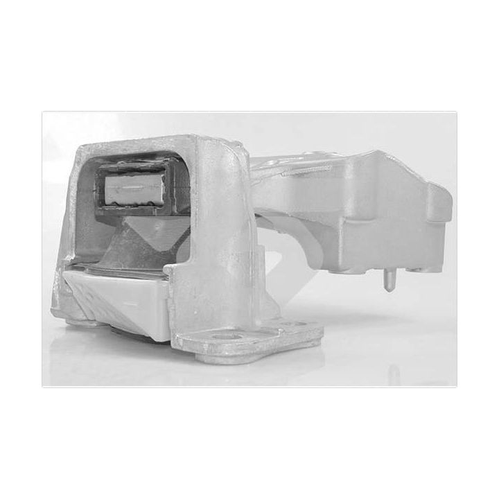 Variklio montavimas HUTCHINSON 586552