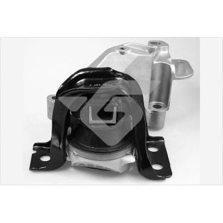 Variklio montavimas HUTCHINSON 586641