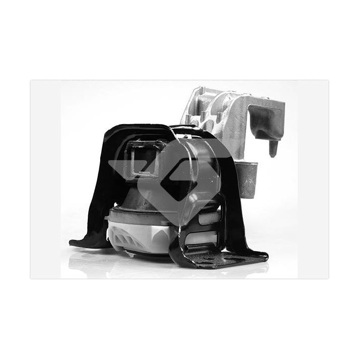 Variklio montavimas HUTCHINSON 586644