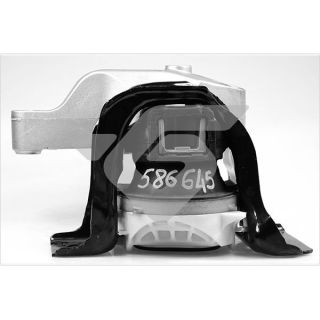 Variklio montavimas HUTCHINSON 586645