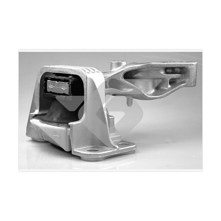 Variklio montavimas HUTCHINSON 586656