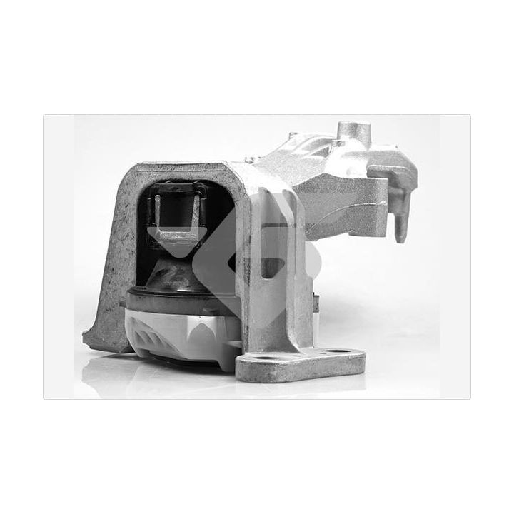 Variklio montavimas HUTCHINSON 586667