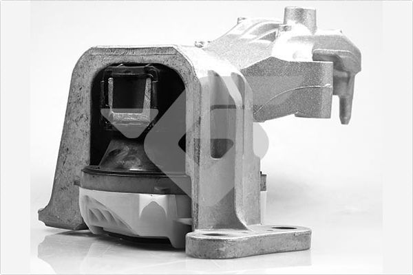 Variklio montavimas HUTCHINSON 586667