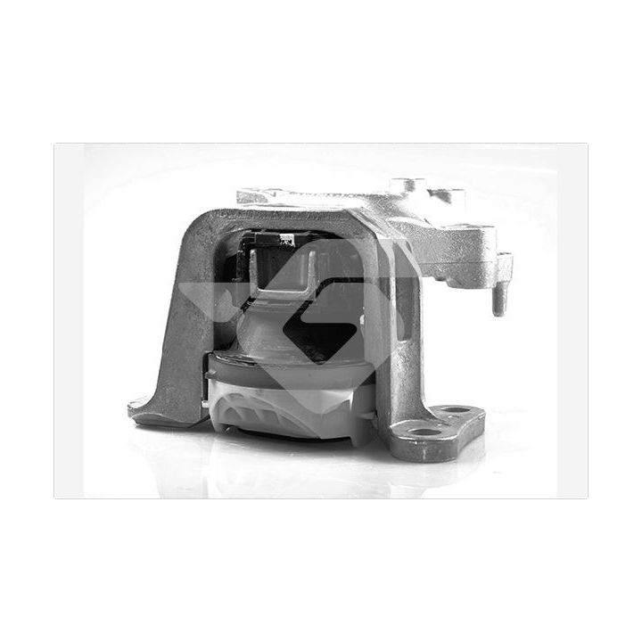 Variklio montavimas HUTCHINSON 586674