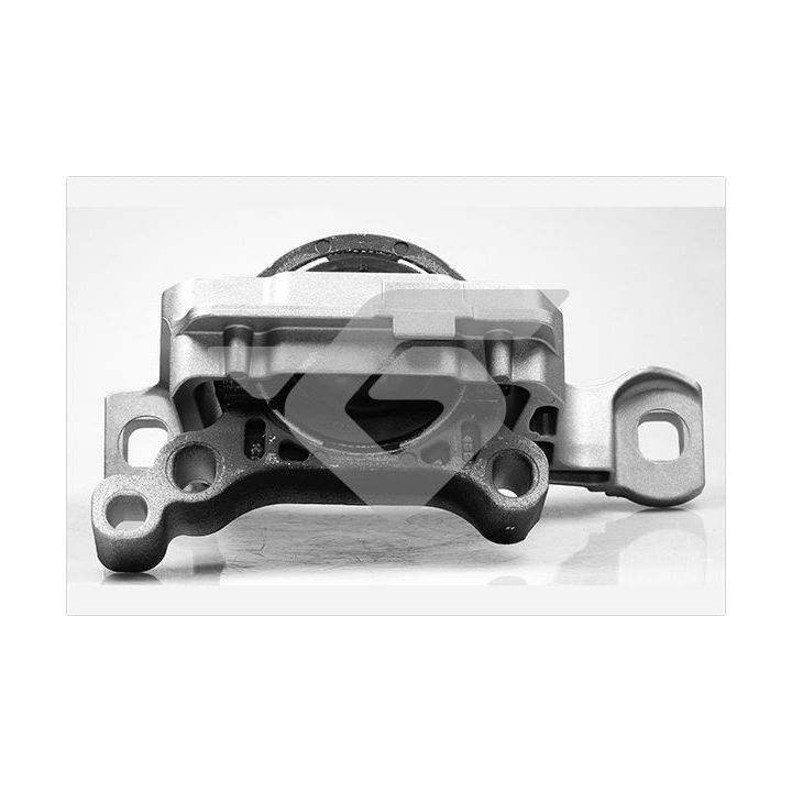 Variklio montavimas HUTCHINSON 586675