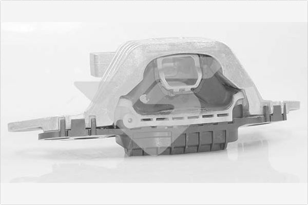 Variklio montavimas HUTCHINSON 586681