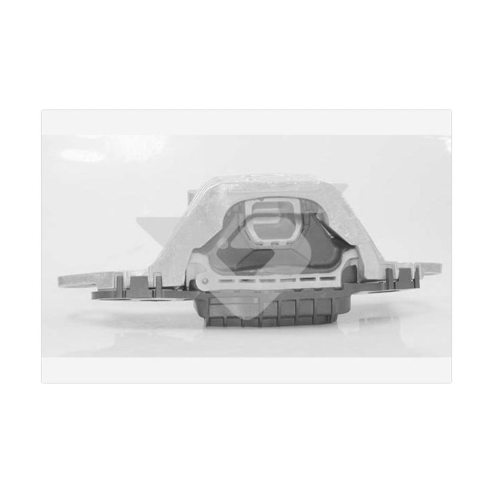 Variklio montavimas HUTCHINSON 586689