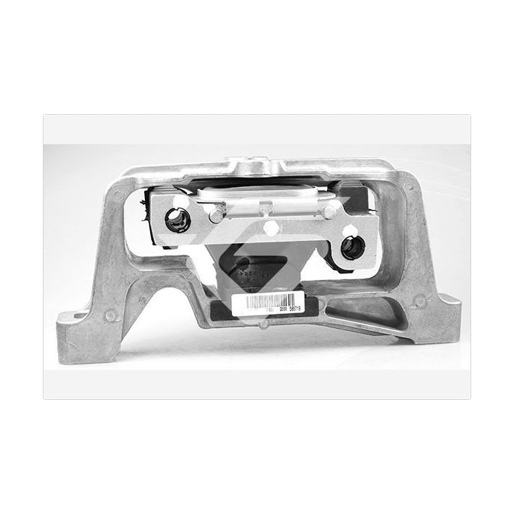 Variklio montavimas HUTCHINSON 586719