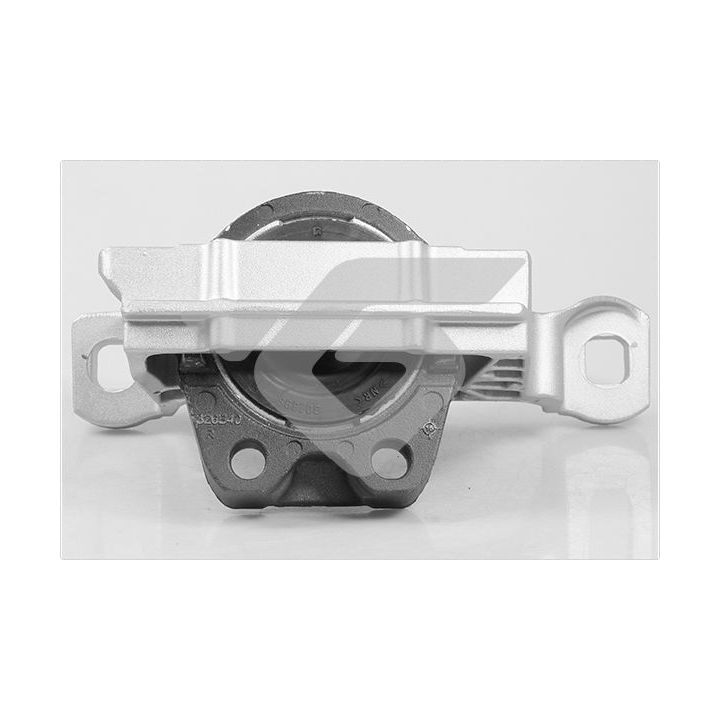 Variklio montavimas HUTCHINSON 586732