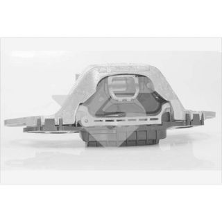 Variklio montavimas HUTCHINSON 586737