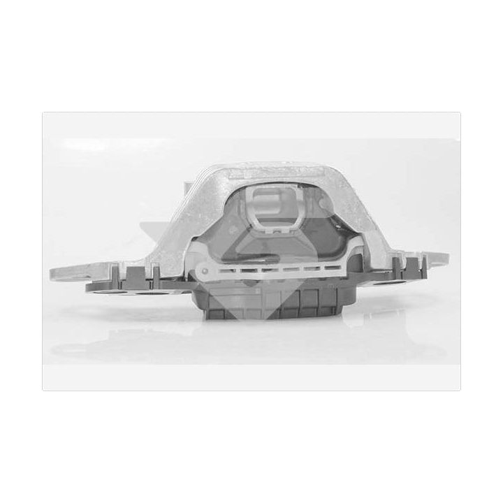 Variklio montavimas HUTCHINSON 586737