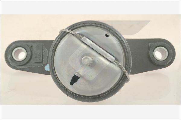 Variklio montavimas HUTCHINSON 586741