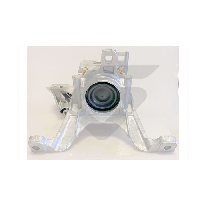 Variklio montavimas HUTCHINSON 586758