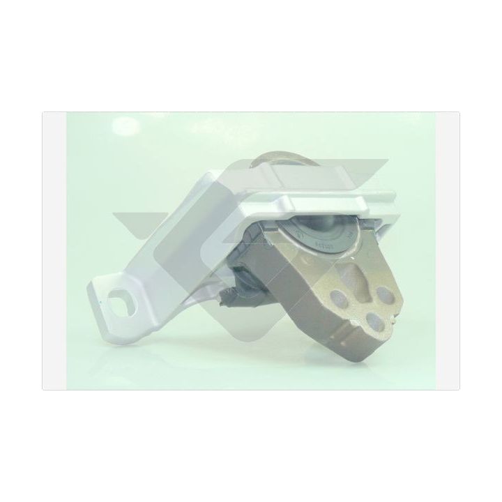 Variklio montavimas HUTCHINSON 586820