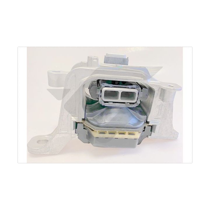 Variklio montavimas HUTCHINSON 586827