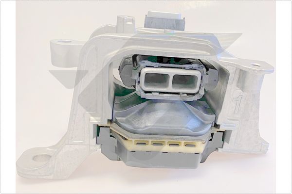 Variklio montavimas HUTCHINSON 586827