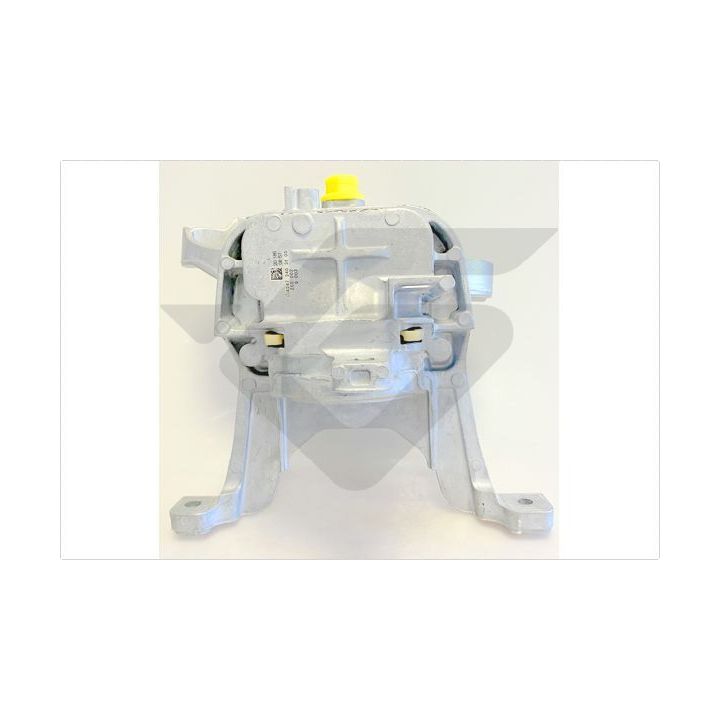 Variklio montavimas HUTCHINSON 586872