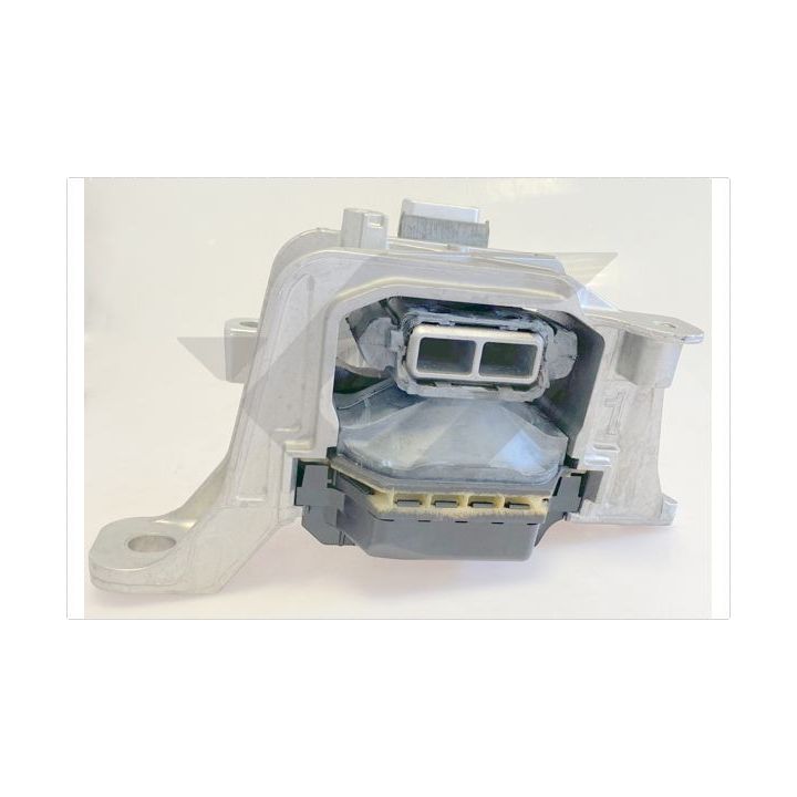 Variklio montavimas HUTCHINSON 586897